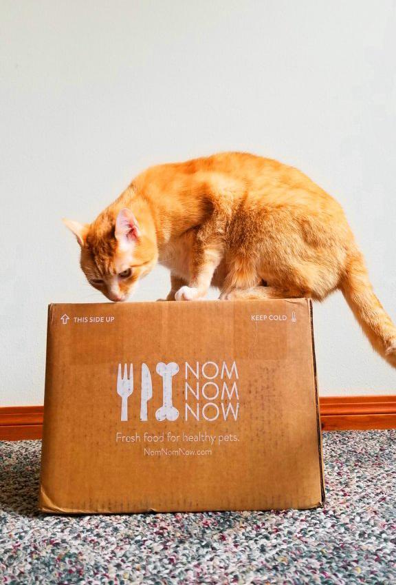 NomNomNow cat food box