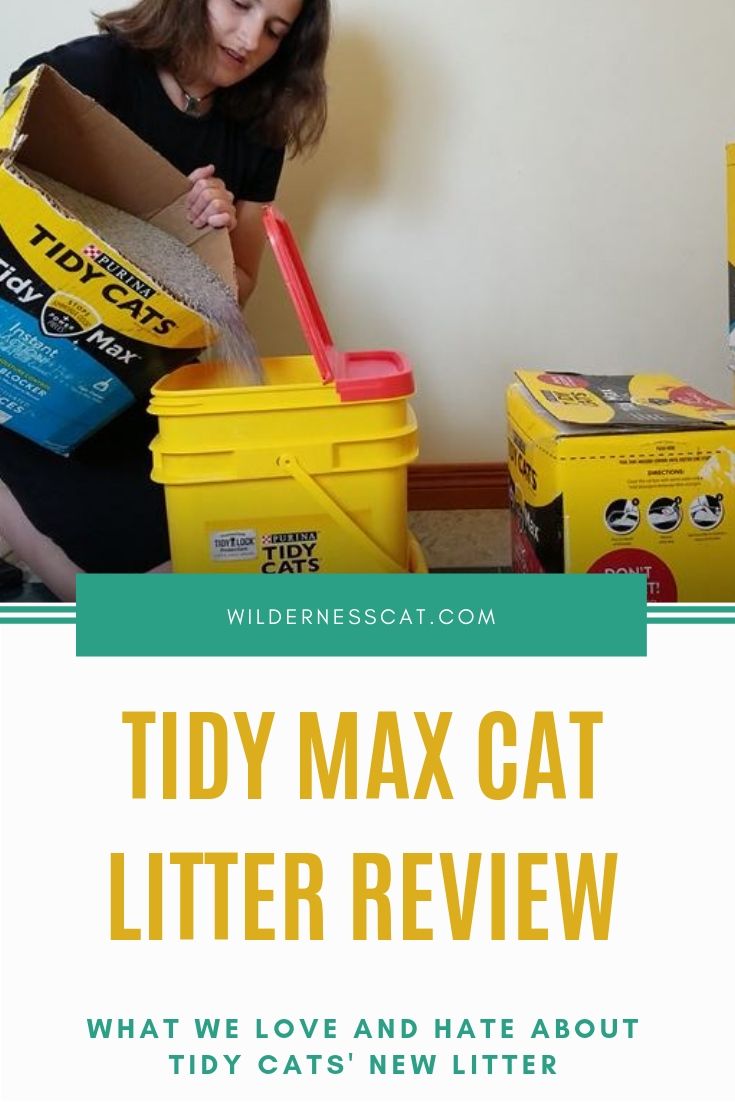 Tidy Max Cat litter review pin 2