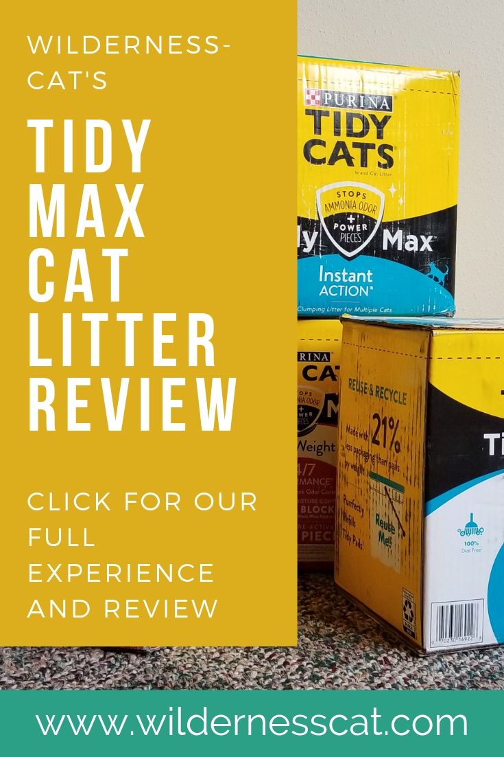 Tidy Max cat litter review pin