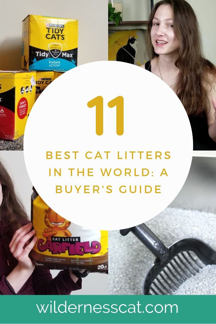 Best cat litter in the world pinnable graphic