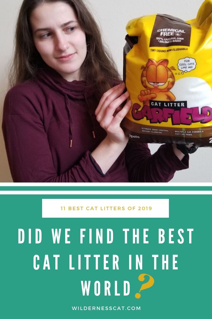 the best cat litter in the world pin