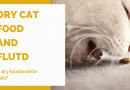 Dry Cat Food and Feline Urinary Disease: Is Dry Food Bad for Cats?