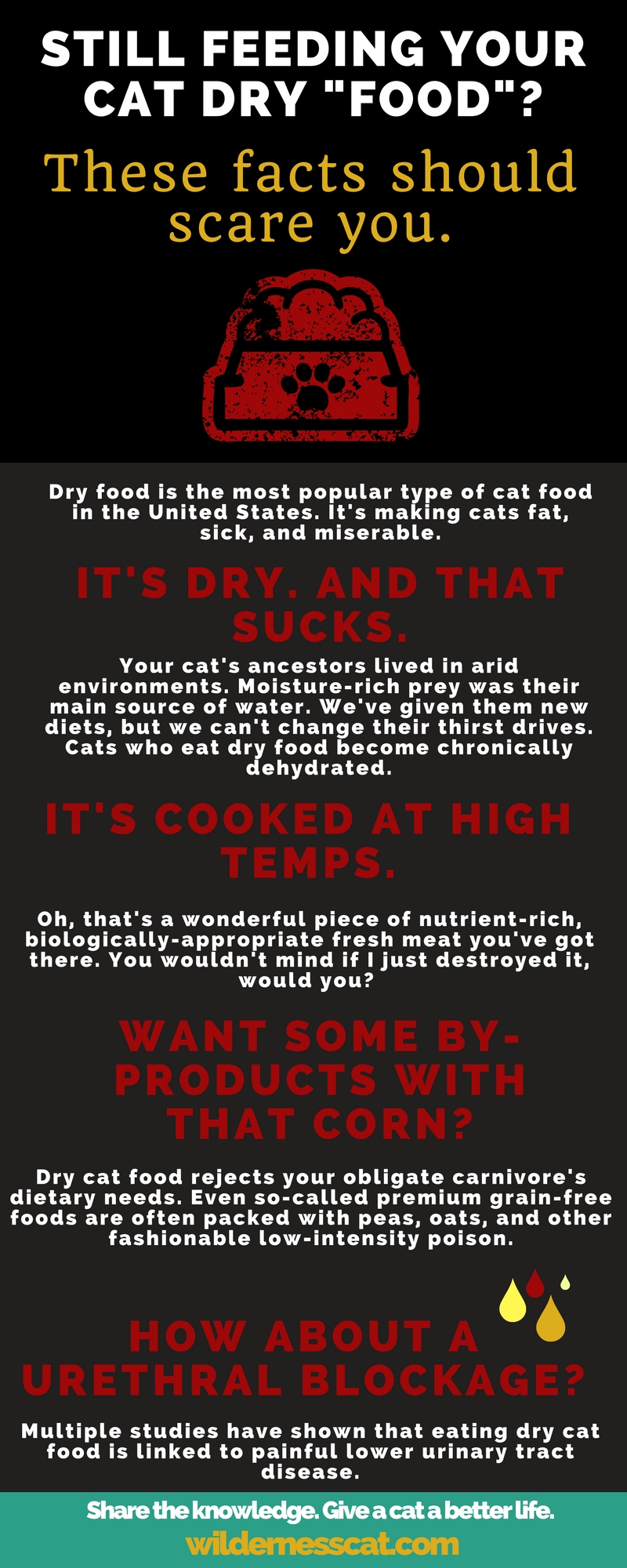 dry cat food infographic