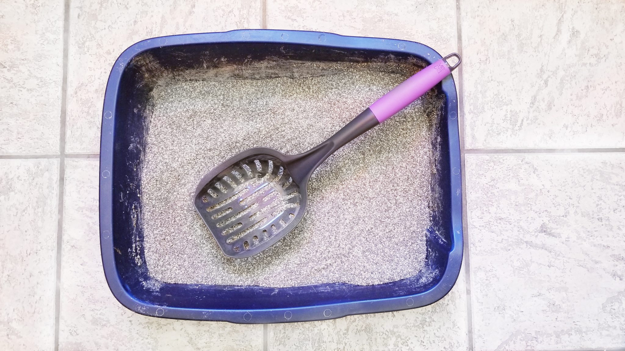 Messy Cats Litter Scoop Review: We Tried Messy Mutts’ First Litter Scoop