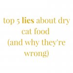 Top 5 Lies About Dry Cat Food – And Why They’re Wrong