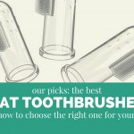 Best Cat Toothbrush – Your Guide to Choosing the Best Cat Toothbrush in 2018
