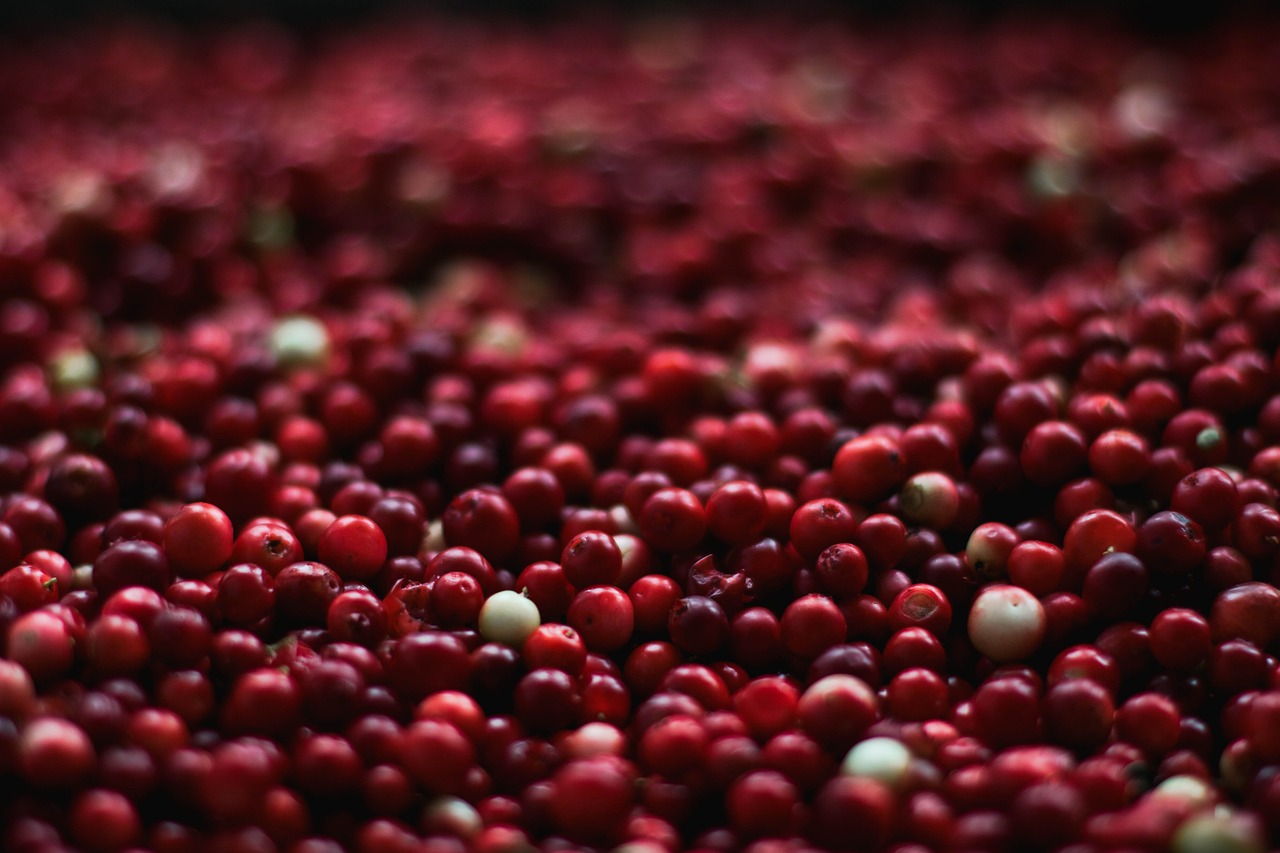 Cranberry for Cat Urinary Tract Infection Home Remedy