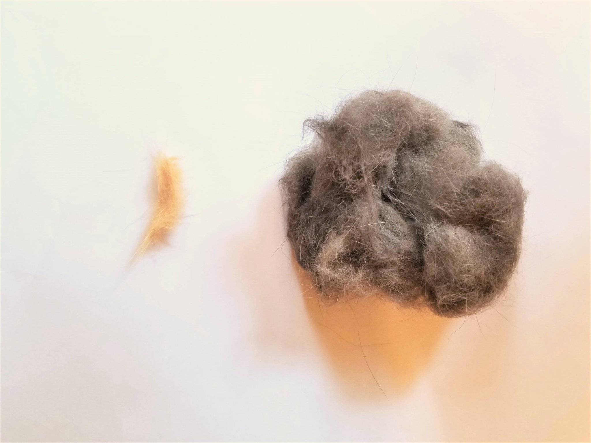 The Eazee Cat Deshedding Tool is ideal for cats with thick undercoats.