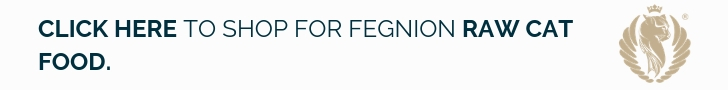 Click here to buy Fegnion