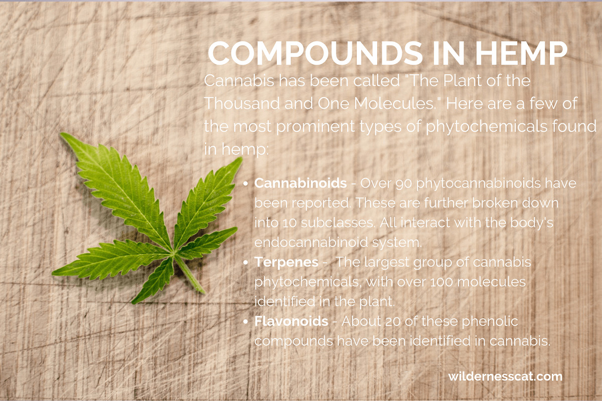 Spirit Animal Hemp Oil For Cats Compounds in Hemp - Cannabinoids, terpenes, and flavonoids