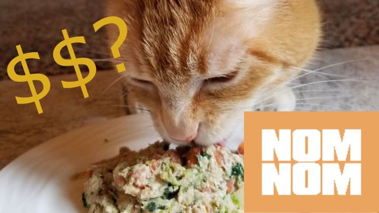 How much does Nom Nom cat food cost