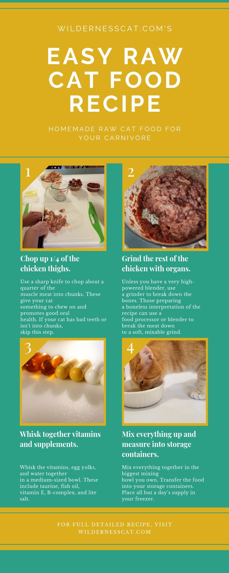How to make raw cat food infographic