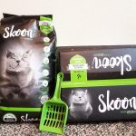 Skoon Cat Litter Review: We Tried Ultra-Absorbent Cat Litter