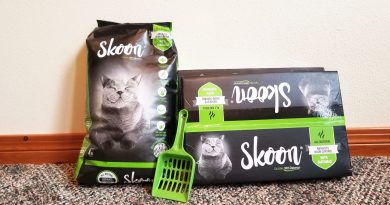 Skoon Cat Litter Review Featured Imag