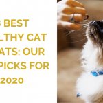 8 Best Healthy Cat Treats: Our Top Picks for 2020