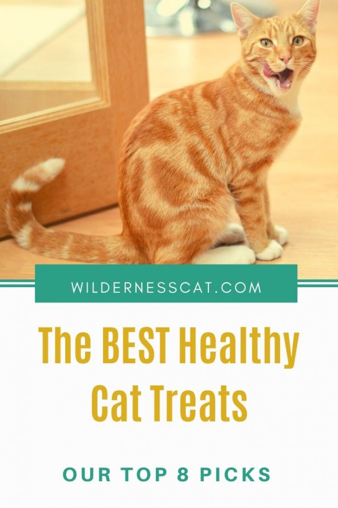 8 Best Healthy Cat Treats pin1