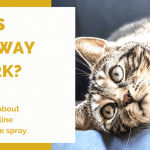 Does Feliway Work? The Facts About Feliway Feline Pheromone Spray