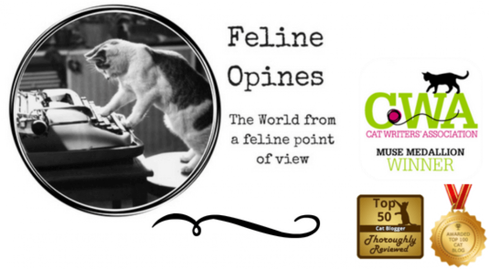 Feline Opines