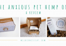 The Anxious Pet Hemp Oil for Cats: Can CBD Hemp Oil Help Cats with Anxiety?