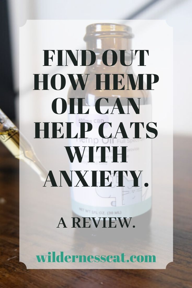 the anxious pet hemp oil for cats pin 1